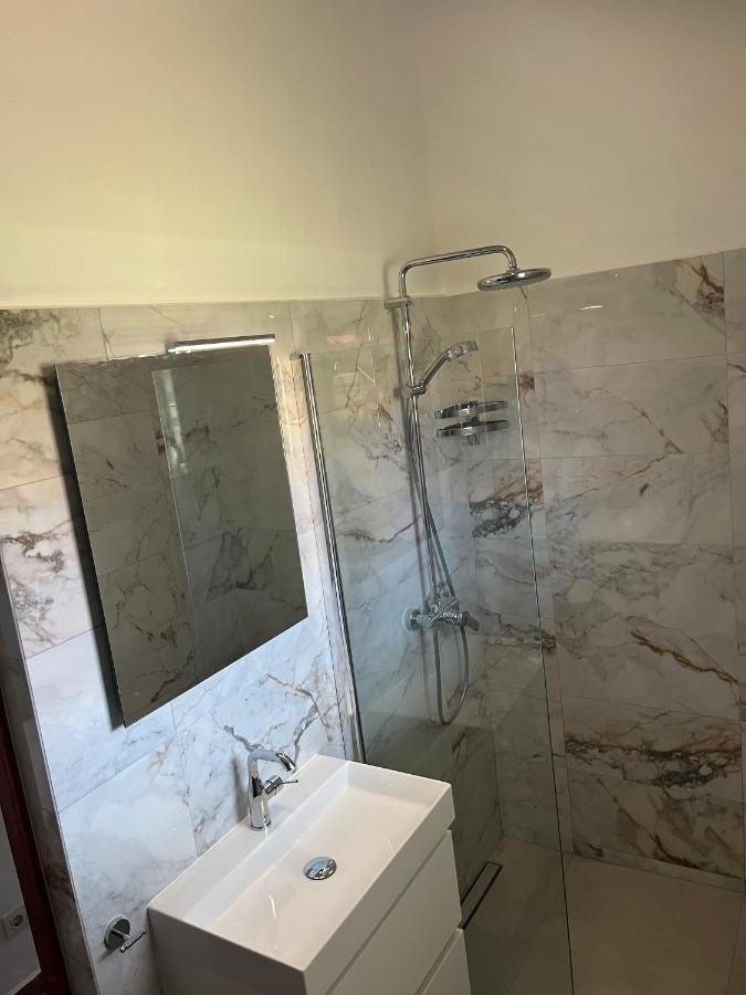 Wastafel en douche in een vernieuwde badkamer